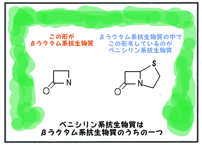 ペニシリン系抗生物質とは?薬剤師が作用機序・副作用を簡単にわかりやすく説明 ペニシリン系抗生物質とは?薬剤師が作用機序・副作用を簡単にわかりやすく説明