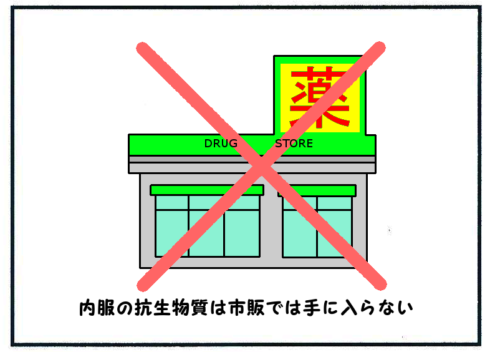 市販の抗生物質1