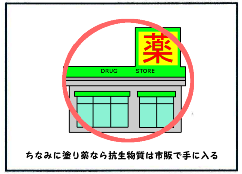 市販の抗生物質5