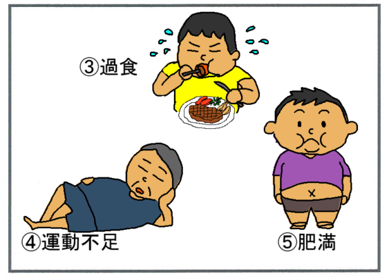 ２型糖尿病の発症原因（過食、運動不足、肥満）
