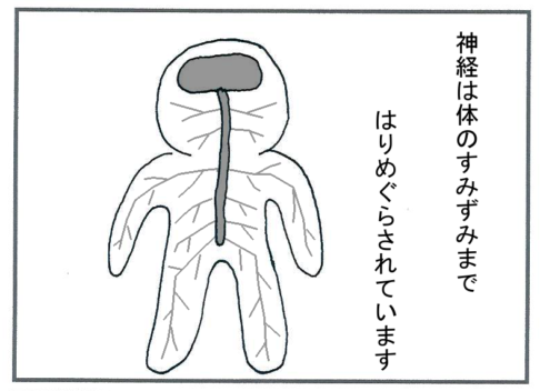 糖尿病の合併症(神経について)