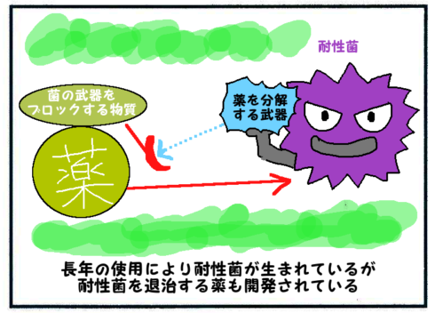 ペニシリン系抗生物質を漫画で簡単にわかりやすく説明4