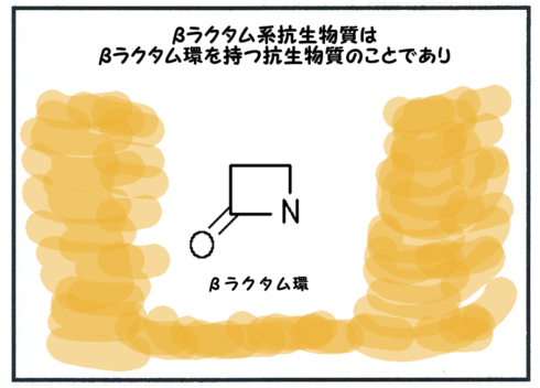 β-ラクタム系抗生物質とは？作用機序は？1