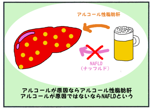 アルコール性脂肪肝とNAFLD(ナッフルド、ナッフルディー)２