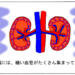 糖尿病と腎臓と透析の関係【薬剤師が簡単にわかりやすく説明】